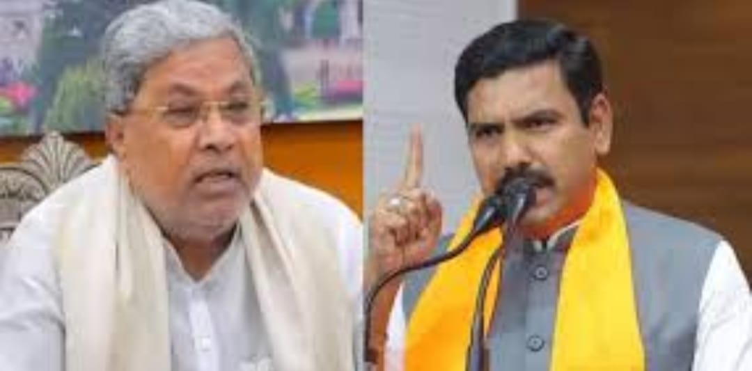 ಕೊಲೆ, ಸುಲಿಗೆ, ಅತ್ಯಾಚಾರ, ದೌರ್ಜನ್ಯಗಳಲ್ಲಿ ನಿರತರಾಗಿರುವ ಗೂಂಡಾಗಳು, ಸಮಾಜಘಾತುಕ ಶಕ್ತಿಗಳು