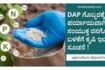 ಡಿಎಪಿ ಗೊಬ್ಬರಕ್ಕೆ ಬದಲಾಗಿ ಸಂಯುಕ್ತ ರಸಗೊಬ್ಬರ ಬಳಸಲು ರೈತರಿಗೆ ಸಲಹೆ