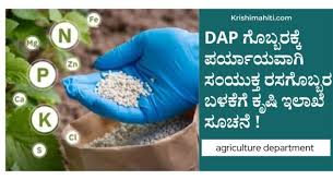 ಡಿಎಪಿ ಗೊಬ್ಬರಕ್ಕೆ ಬದಲಾಗಿ ಸಂಯುಕ್ತ ರಸಗೊಬ್ಬರ ಬಳಸಲು ರೈತರಿಗೆ ಸಲಹೆ