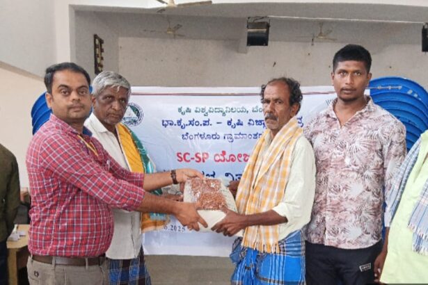 ರೈತರಿಗೆ ಬಿತ್ತನೆ ಬೀಜ ವಿತರಣೆ