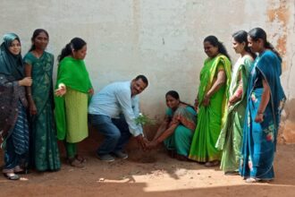 ನೋಬಲ್ ಹಿರಿಯ ಪ್ರಾಥಮಿಕ ಶಾಲೆಯಲ್ಲಿ ಗಿಡ ನೆಟ್ಟ ಮಕ್ಕಳು