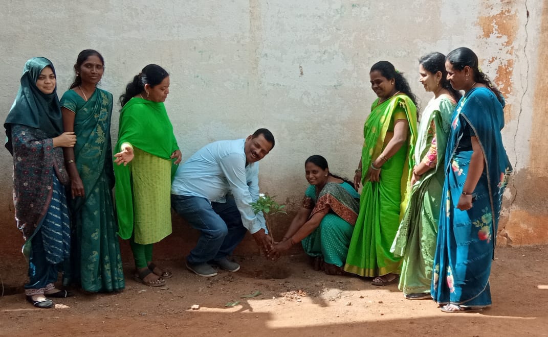 ನೋಬಲ್ ಹಿರಿಯ ಪ್ರಾಥಮಿಕ ಶಾಲೆಯಲ್ಲಿ ಗಿಡ ನೆಟ್ಟ ಮಕ್ಕಳು