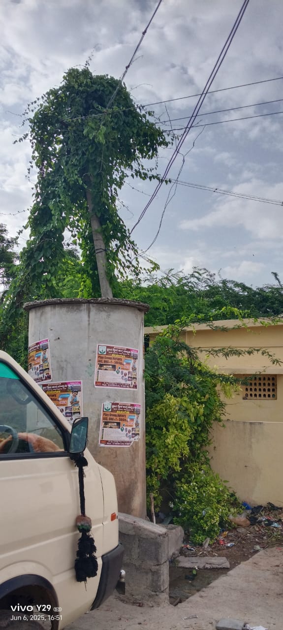 ವಿದ್ಯುತ್ ತಂತಿ ಮೇಲೆ ಆವರಿಸಿರುವ ಬಳ್ಳಿ ತೆರೆವುಗೊಳಿಸಿ -ಅಪಾಯ ತಪ್ಪಿಸಿ