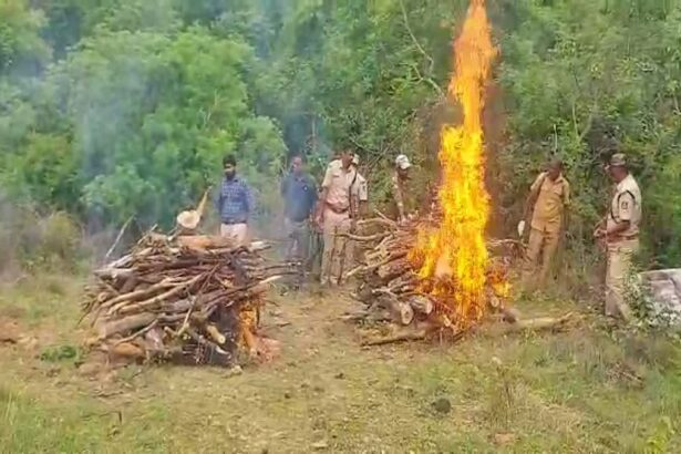 ಗಂಧದಗುಡಿಯನ್ನು ಕಸಾಯಿಖಾನೆ ಮಾಡುತ್ತಿರುವ ಕಾಂಗ್ರೆಸ್ ಸರ್ಕಾರ!