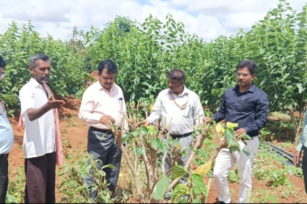 ಸಾವಯವ ಪದ್ಧತಿ ಅನುಸರಿಸಿ ತೋಟಗಾರಿಕೆ ಬೆಳೆ ಬೆಳೆಯಿರಿ- ಡಾ.ಬಿ. ಜಿ. ಹನುಮಂತರಾಯಪ್ಪ