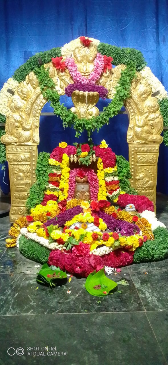 ಸ್ವಯಂ ಭುವೇಶ್ವರಸ್ವಾಮಿಗೆ ವಿಶೇಷ ಅಭಿಷೇಕ ಅಲಂಕಾರ