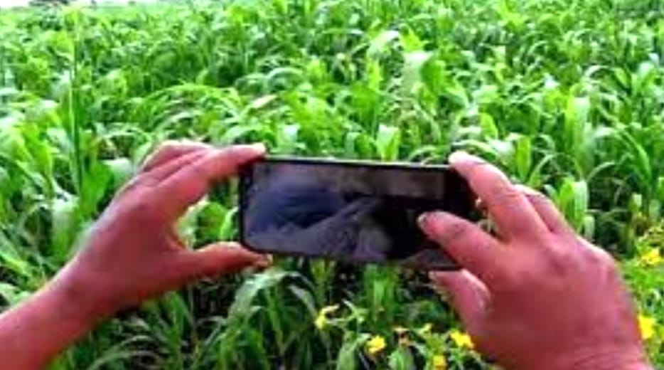 ಬೆಳೆ ಸಮೀಕ್ಷೆ ವ್ಯತ್ಯಾಸವಿದ್ದಲ್ಲಿ ಆಕ್ಷೇಪ ಸಲ್ಲಿಸಲು ರೈತರಿಗೆ ಅವಕಾಶ- ಸಚಿವ ಚಲುವರಾಯಸ್ವಾಮಿ