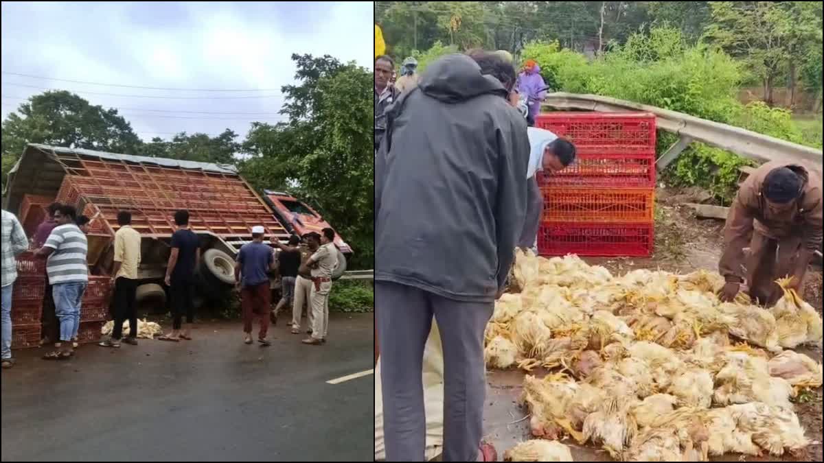 ಕೋಳಿ ತುಂಬಿದ್ದ ಕ್ಯಾಂಟರ್ ಲಾರಿ‌ ಪಲ್ಟಿ ನೂರಾರು ಕೋಳಿಗಳು ಸಾವು