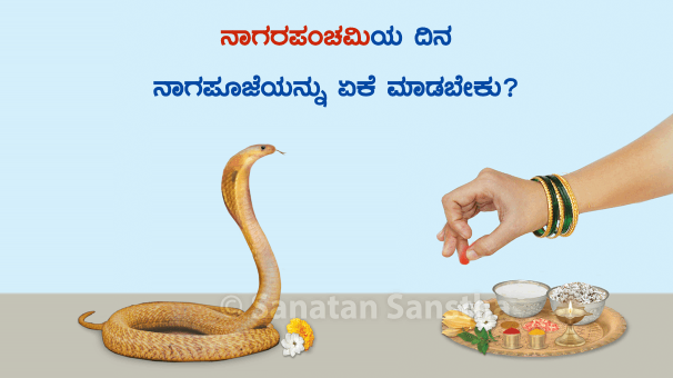 ನಾಗರ ಪಂಚಮಿ ವಿಶೇಷ