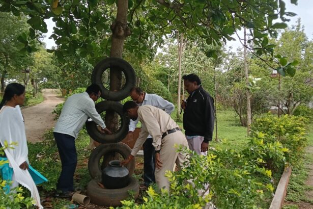 ಸರ್ಕಾರಿ ಕಚೇರಿಗಳ ಆವರಣದಲ್ಲಿ ಸ್ವಚ್ಛತೆ