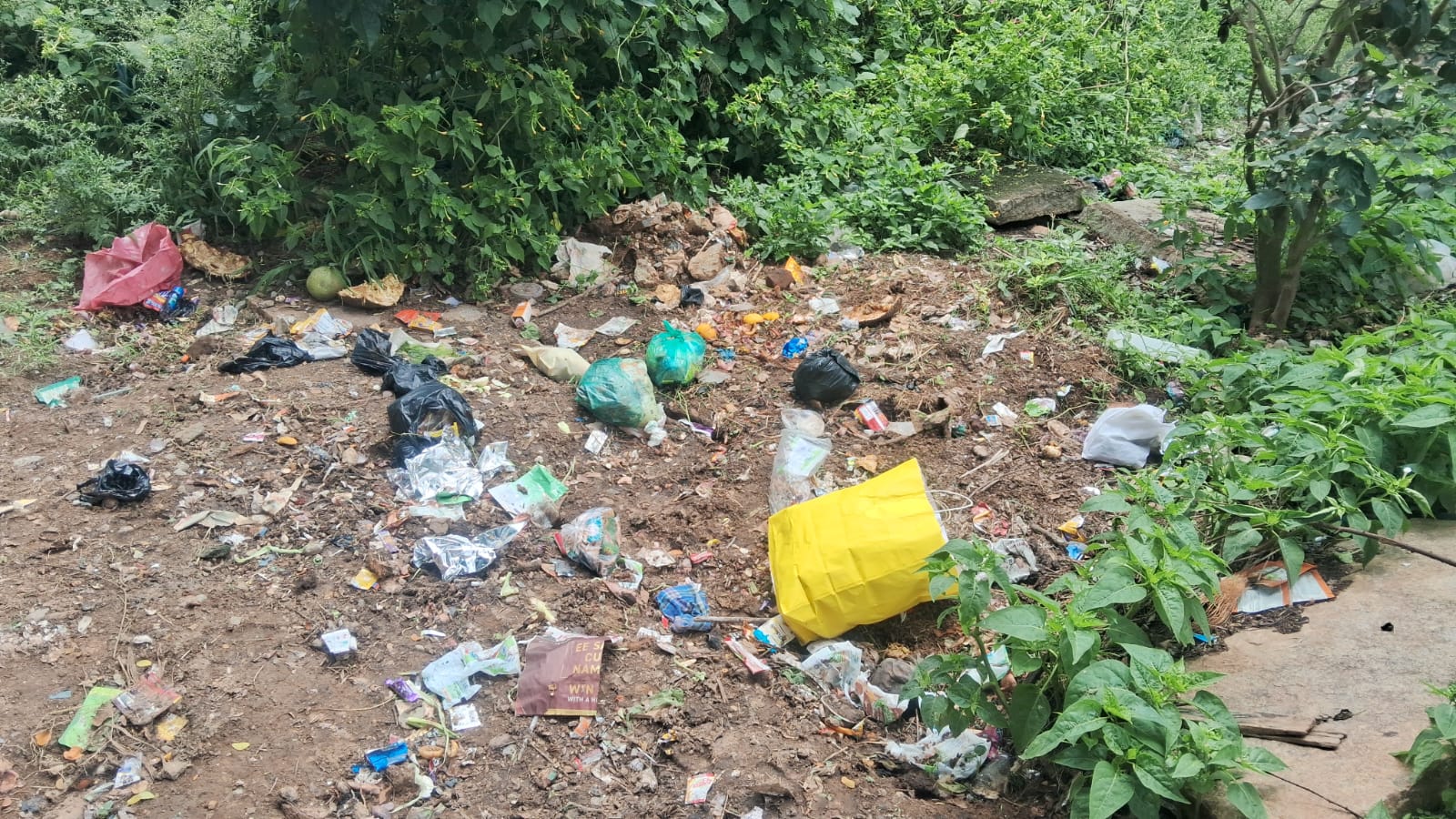 ಗಡಿ ಭಾಗದ ಅವ್ಯವಸ್ಥೆಗೆ ನಾಗರಿಕರ ಆಕ್ರೋಶ