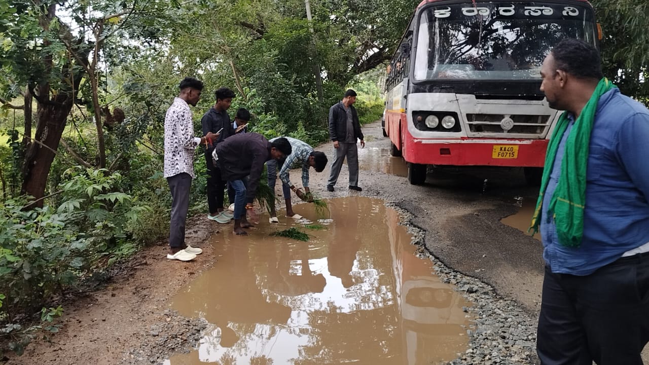 ಗುಂಡಿ ಬಿದ್ದ ರಸ್ತೆಯಲ್ಲಿ ರಾಗಿ ನಾಟಿ ಮಾಡಿ ವಿನೂತನ ಪ್ರತಿಭಟನೆ