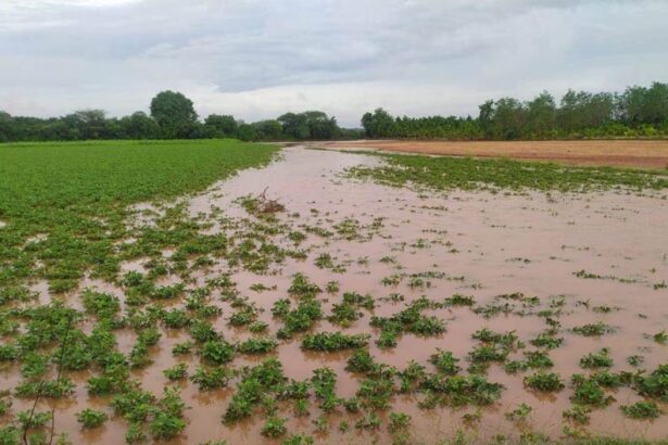 ಭಾರೀ ಮಳೆ ಹೊಲಗಳಿಗೆ ನುಗ್ಗಿದ ನೀರು, ಕೊಚ್ಚಿಹೋದ ರಸ್ತೆಗಳು