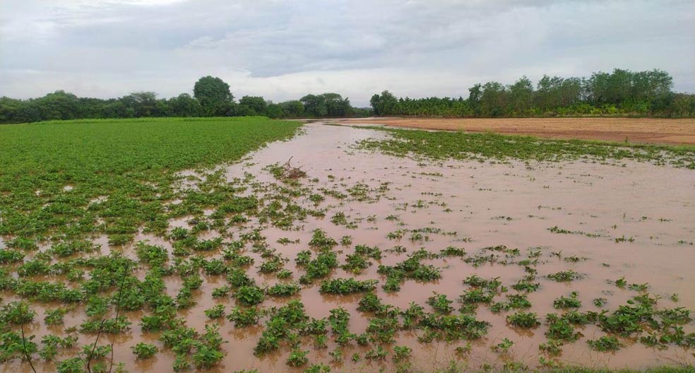ಭಾರೀ ಮಳೆ ಹೊಲಗಳಿಗೆ ನುಗ್ಗಿದ ನೀರು, ಕೊಚ್ಚಿಹೋದ ರಸ್ತೆಗಳು