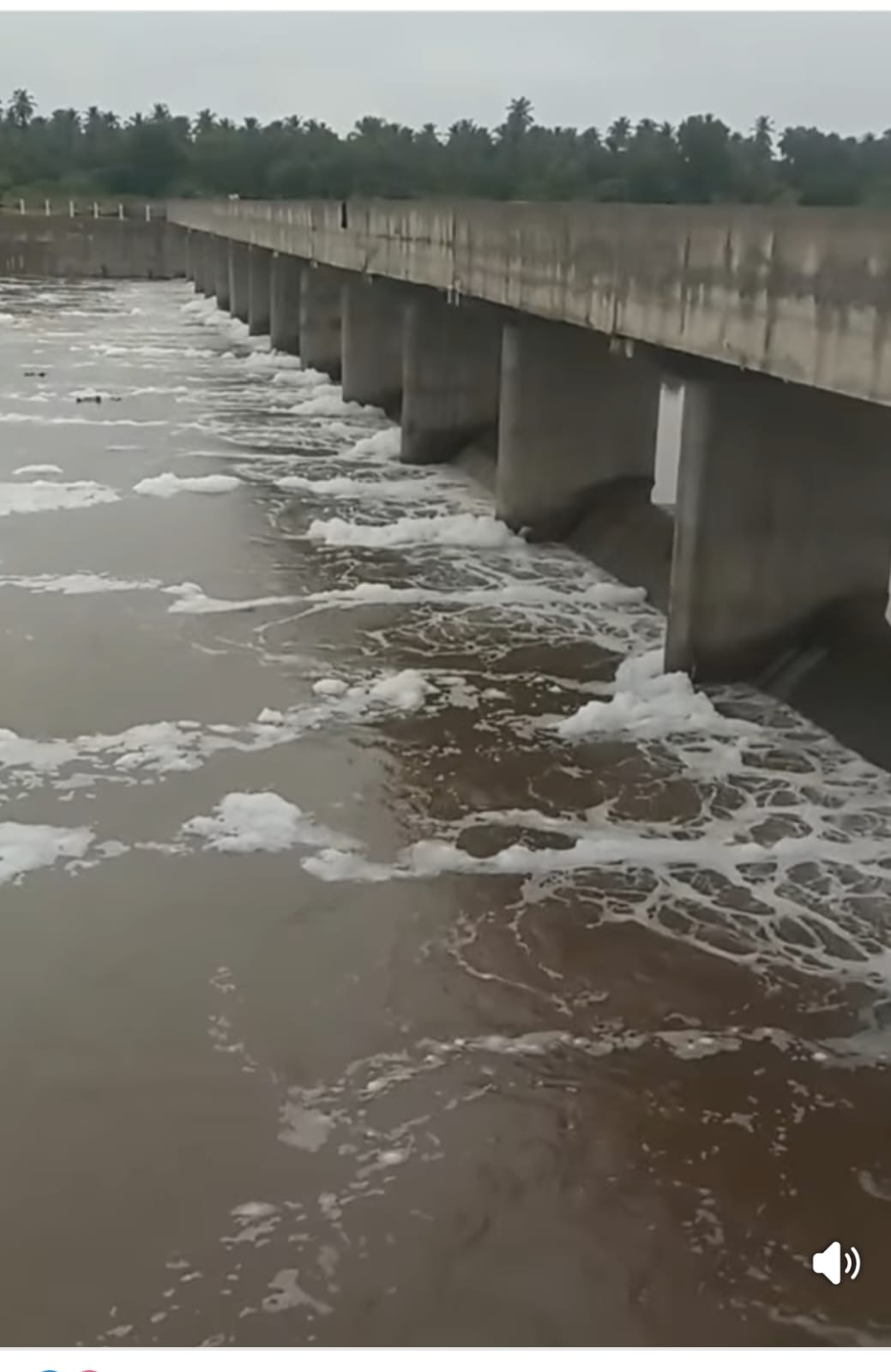 ಅಪಾಯದ ಅಂಚಿಗೆ ತಳ್ಳಲ್ಪಟ್ಟ ವೇದಾವತಿ ನದಿ ಭಾಗ