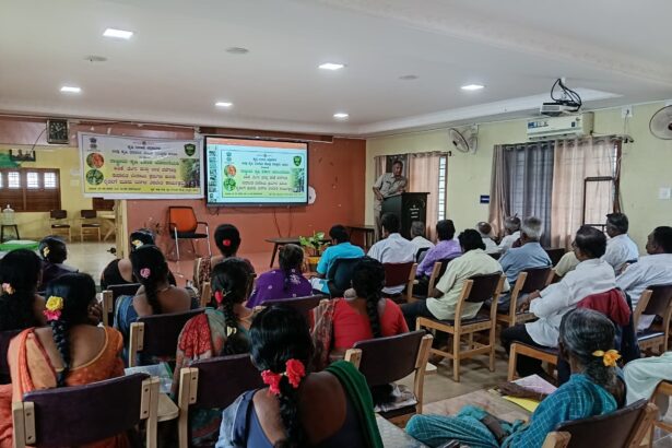 ಅಂತರ ಬೆಳೆಯಿಂದ ಅಡಿಕೆ, ತೆಂಗು ಮತ್ತು ಬಾಳೆ ಸುಸ್ಥಿರ ಇಳುವರಿ