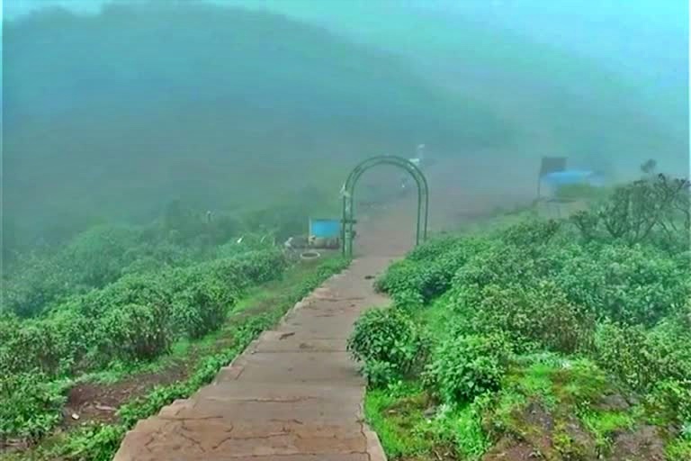 ಮುಳ್ಳಯ್ಯನಗಿರಿಗೆ ಭೇಟಿಗೆ ಆನ್​ಲೈನ್​ನಲ್ಲಿ ಬುಕ್ಕಿಂಗ್​ ಸೌಲಭ್ಯ ಕಲ್ಪಿಸಿದ ಜಿಲ್ಲಾಡಳಿತ