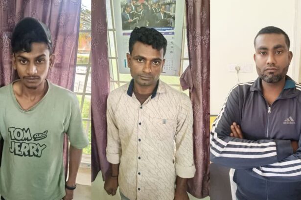 ಹಳ್ಳಿಕಾರ್ ತಳಿಯ ಹೋರಿಗಳ ಕತ್ತು ಕೊಯ್ದ ಆರೋಪಿಗಳ ಬಂಧನ