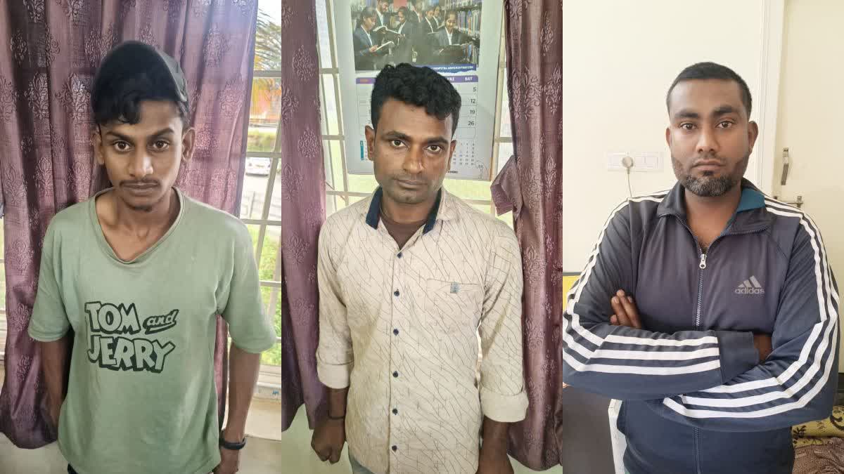 ಹಳ್ಳಿಕಾರ್ ತಳಿಯ ಹೋರಿಗಳ ಕತ್ತು ಕೊಯ್ದ ಆರೋಪಿಗಳ ಬಂಧನ