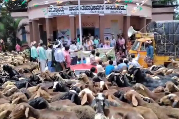 ತಹಶೀಲ್ದಾರ್ ಕಚೇರಿಗೆ ಐದು ಸಾವಿರ ಕುರಿಗಳ ನುಗ್ಗಿಸಿದ ಗ್ರಾಮಸ್ಥರು