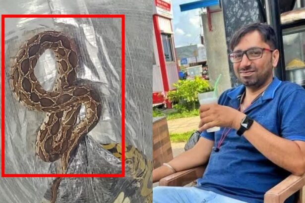 ಚಪ್ಪಲಿಯೊಳಗೆ ಸೇರಿದ್ದ ಹಾವು ಕಚ್ಚಿ ವ್ಯಕ್ತಿಯೊಬ್ಬನ ಸಾವು