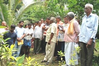 ಅಡಿಕೆ ಸಿಪ್ಪೆಯಿಂದ ಕಾಂಪೋಸ್ಟ್ ಗೊಬ್ಬರ ತಯಾರಿಕೆ, ಅಡಿಕೆ ಉತ್ಪಾದನೆಯಲ್ಲಿ ಕರ್ನಾಟಕ ಮೊದಲ ಸ್ಥಾನ