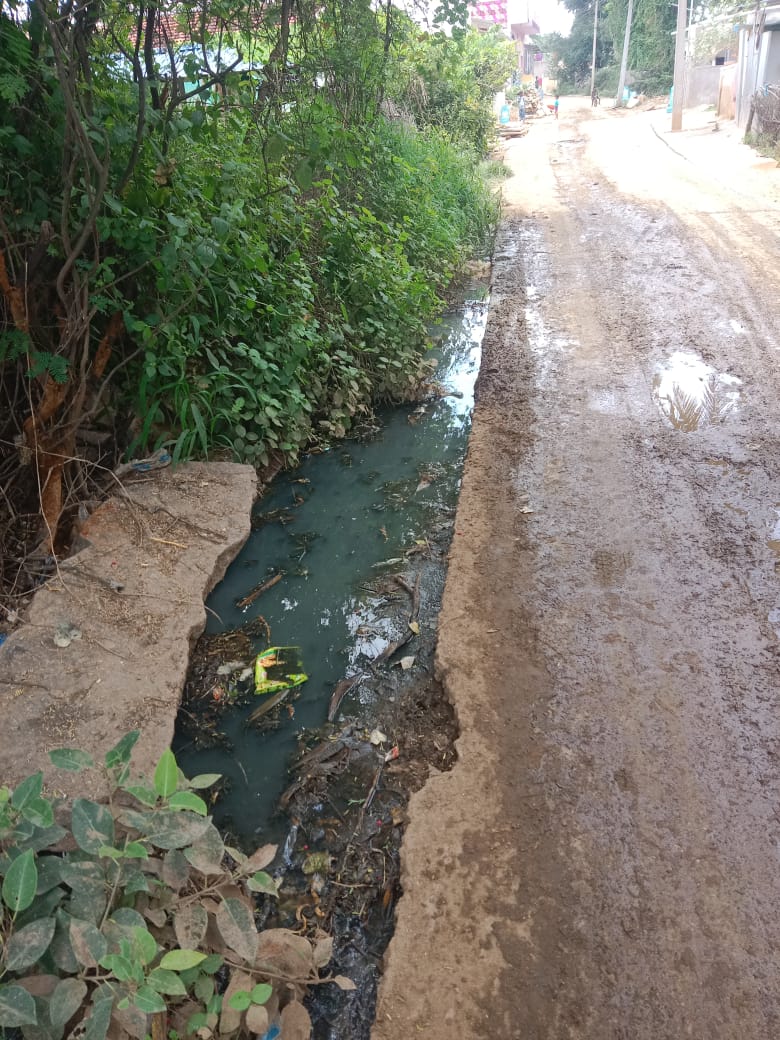 ಕುರುಬರ ಕಾಲೋನಿಯ ಚರಂಡಿ ಸ್ವಚ್ಛತೆಗೊಳಿಸಿ