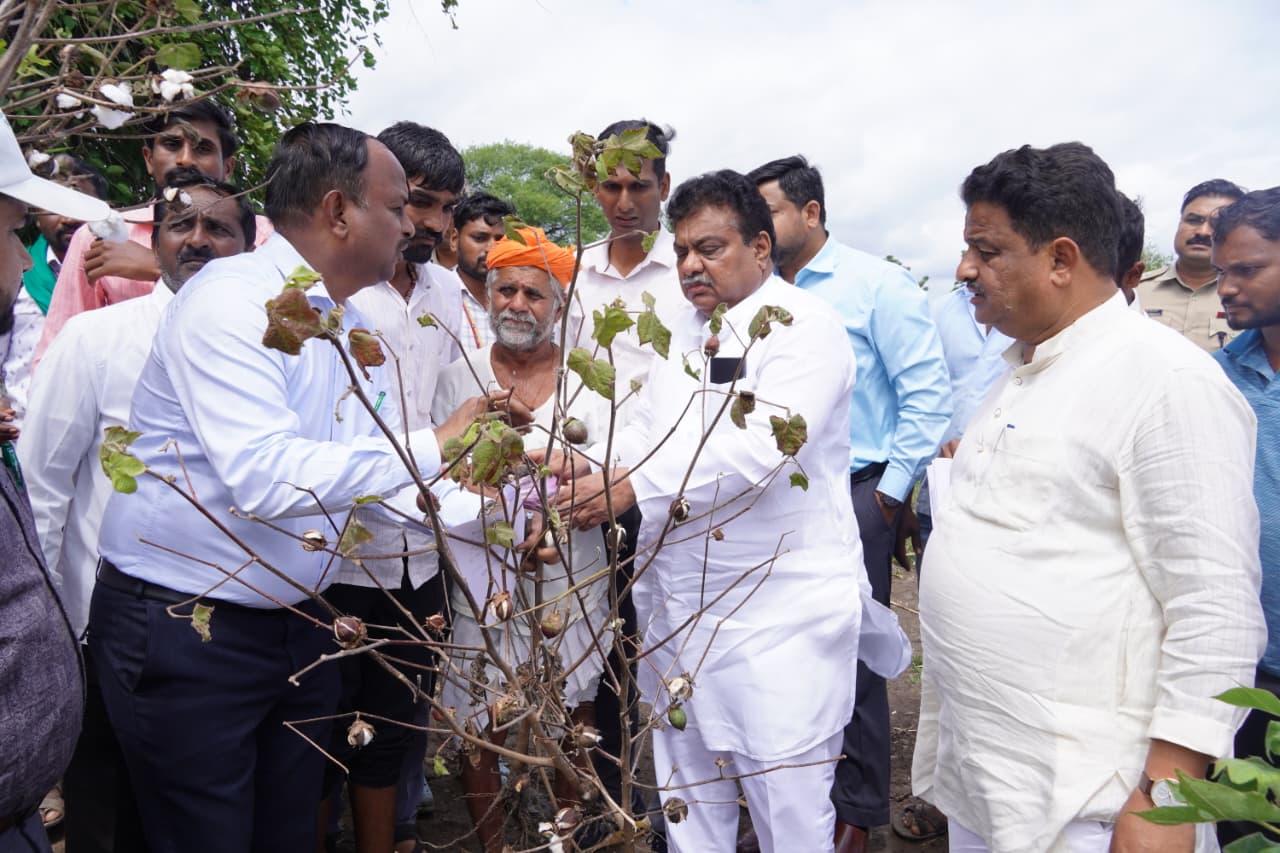 ಹತ್ತಿ, ಈರುಳ್ಳಿ, ಕಬ್ಬು ಬೆಳೆಹಾನಿಗೆ ಸೂಕ್ತ ಪರಿಹಾರ