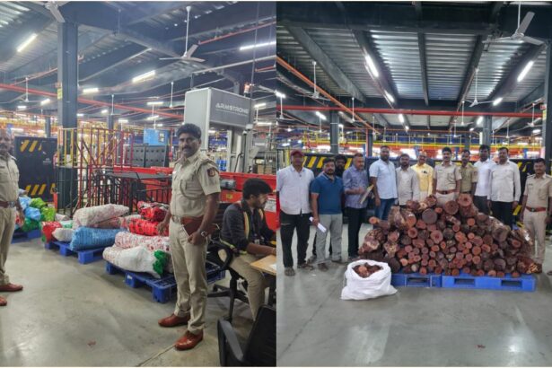 ರಕ್ತಚಂದನ ತುಂಡುಗಳ ಮಾರಾಟ ಮಾಡುತ್ತಿದ್ದ ಕಳ್ಳರ ಬಂಧನ