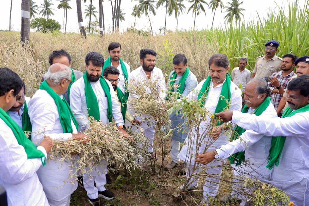 ಬೆಳೆ ಹಾನಿ ಪ್ರದೇಶಗಳ ವೀಕ್ಷಿಸಿದ ಆರ್.ಅಶೋಕ್ ತಂಡ