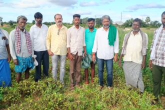 ಶೇಂಗಾ ಇಳುವರಿ ಕುಂಠಿತ, ಬರ ಪೀಡಿತ ಎಂದು ಘೋಷಿಸಲು ರೈತರ ಆಗ್ರಹ