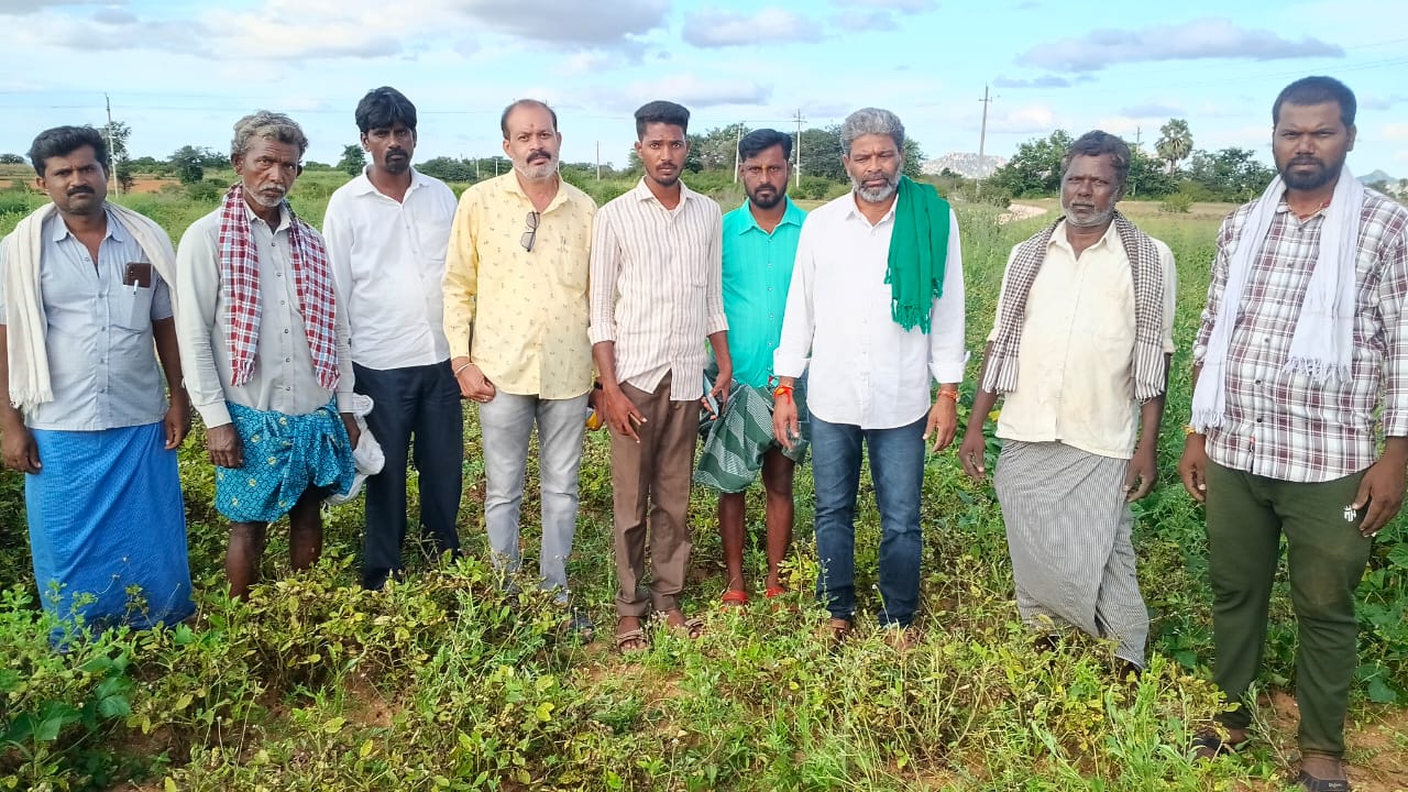 ಶೇಂಗಾ ಇಳುವರಿ ಕುಂಠಿತ, ಬರ ಪೀಡಿತ ಎಂದು ಘೋಷಿಸಲು ರೈತರ ಆಗ್ರಹ