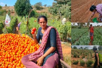 ಮಾದರಿ ಕೃಷಿಕರಾದ ಯುವ ಮಹಿಳಾ ರೈತೆ ಅನುಷಾ ಅರುಣ್ 