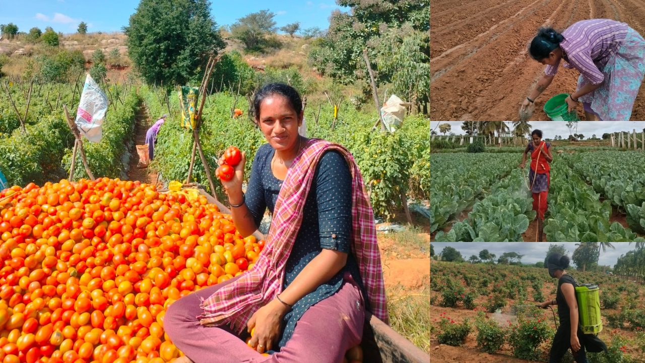 ಮಾದರಿ ಕೃಷಿಕರಾದ ಯುವ ಮಹಿಳಾ ರೈತೆ ಅನುಷಾ ಅರುಣ್ 