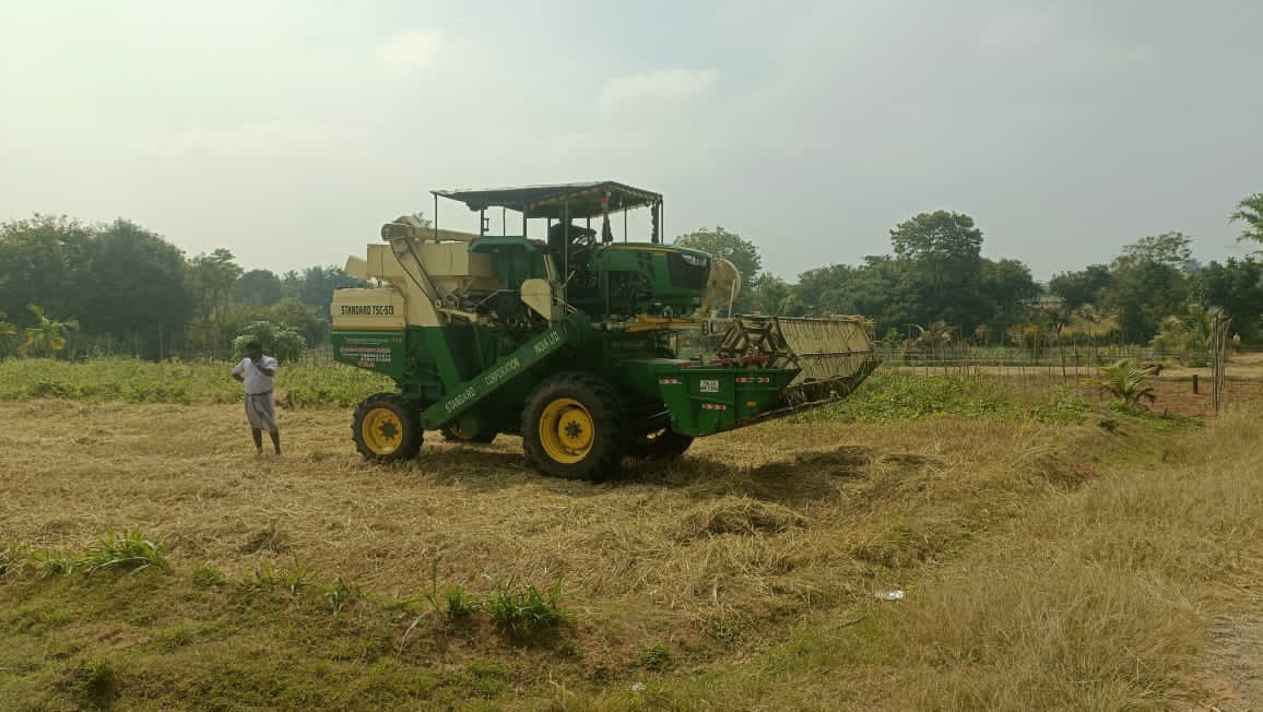 ರಾಗಿ ಕಟಾವಿಗೆ ಮಧ್ಯವರ್ತಿಗಳ ಹಾವಳಿ