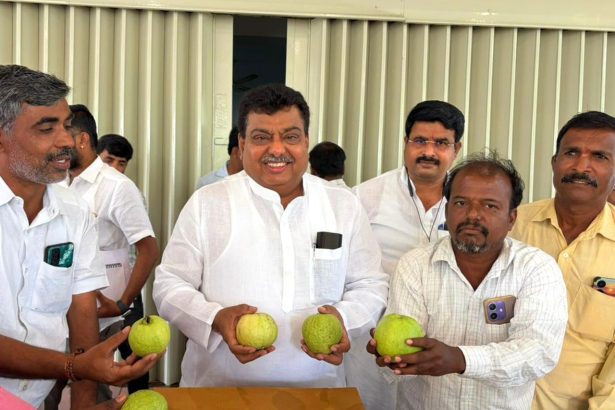 ರೈತರ ನೆಲದಲ್ಲಿ ಅರಳುತ್ತಿರುವ ಹಸಿರು ವಜ್ರ!