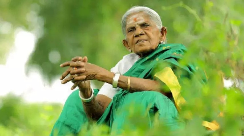 ಹಸಿರು ಮತ್ತು ಸೇವೆ ಮೂಲಕ ಜಗಮೆಚ್ಚಿದ ನಾಯಕಿ ಸಾಲುಮರದ ತಿಮ್ಮಕ್ಕ