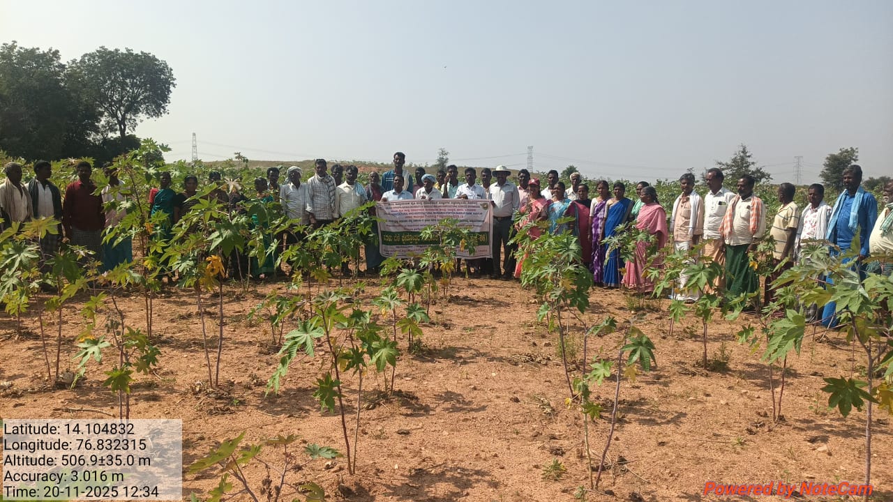 ರಾಷ್ಟ್ರೀಯ ಆಹಾರ ಭದ್ರತಾ ಯೋಜನೆ ಸೌಲಭ್ಯ ಪಡೆದುಕೊಳ್ಳಿ