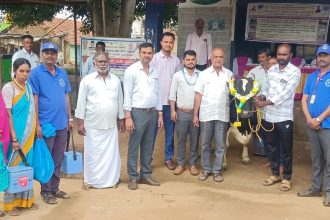 ಕಾಲುಬಾಯಿ ಜ್ವರಕ್ಕೆ ತುತ್ತಾದ ಹಸುಗಳಲ್ಲಿ ಹಾಲಿನ ಪ್ರಮಾಣ ಕಡಿಮೆ- ಜಿ.ಬಿ ಶೇಖರ್