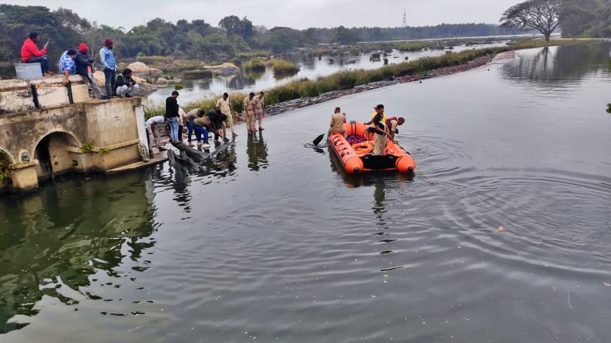 ಕಾಲು ಜಾರಿ ನಾಲೆಗೆ ಬಿದ್ದ ಬಾಲಕಿ ರಕ್ಷಣೆಗೆ ಮುಂದಾದ ಐವರು ಮಕ್ಕಳು ನೀರು ಪಾಲು