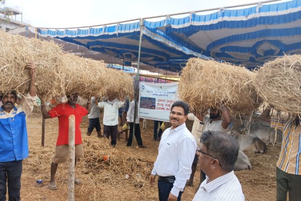ಘಾಟಿ ಜಾತ್ರೆಯಲ್ಲಿ ರಾಸುಗಳಿಗೆ ಉಚಿತ ಮೇವು ವಿತರಿಸಿದ ವಿಜ್ಞಾನಿ ಹನುಮಂತರಾಯ