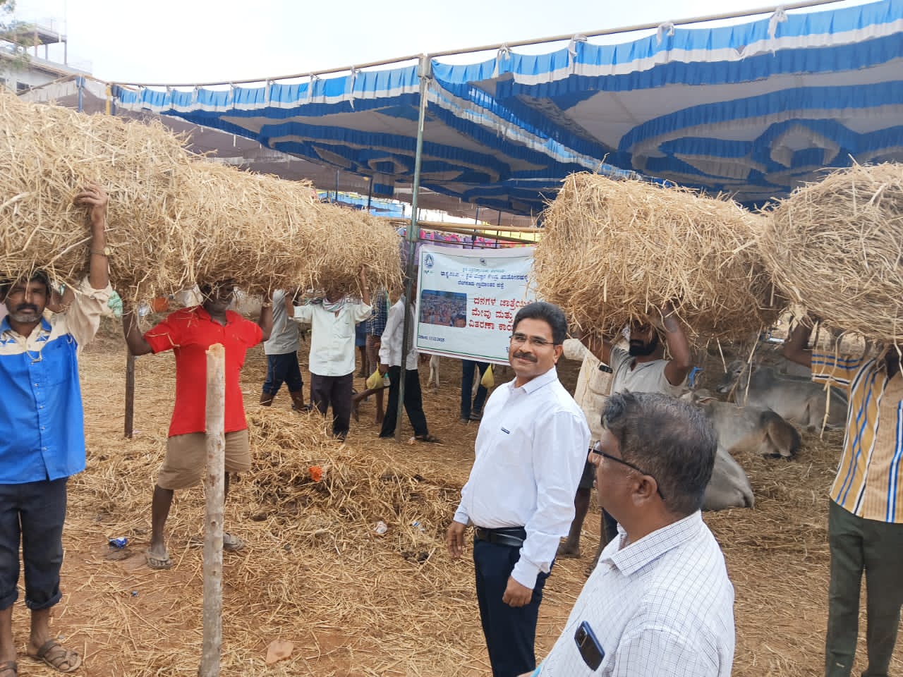 ಘಾಟಿ ಜಾತ್ರೆಯಲ್ಲಿ ರಾಸುಗಳಿಗೆ ಉಚಿತ ಮೇವು ವಿತರಿಸಿದ ವಿಜ್ಞಾನಿ ಹನುಮಂತರಾಯ