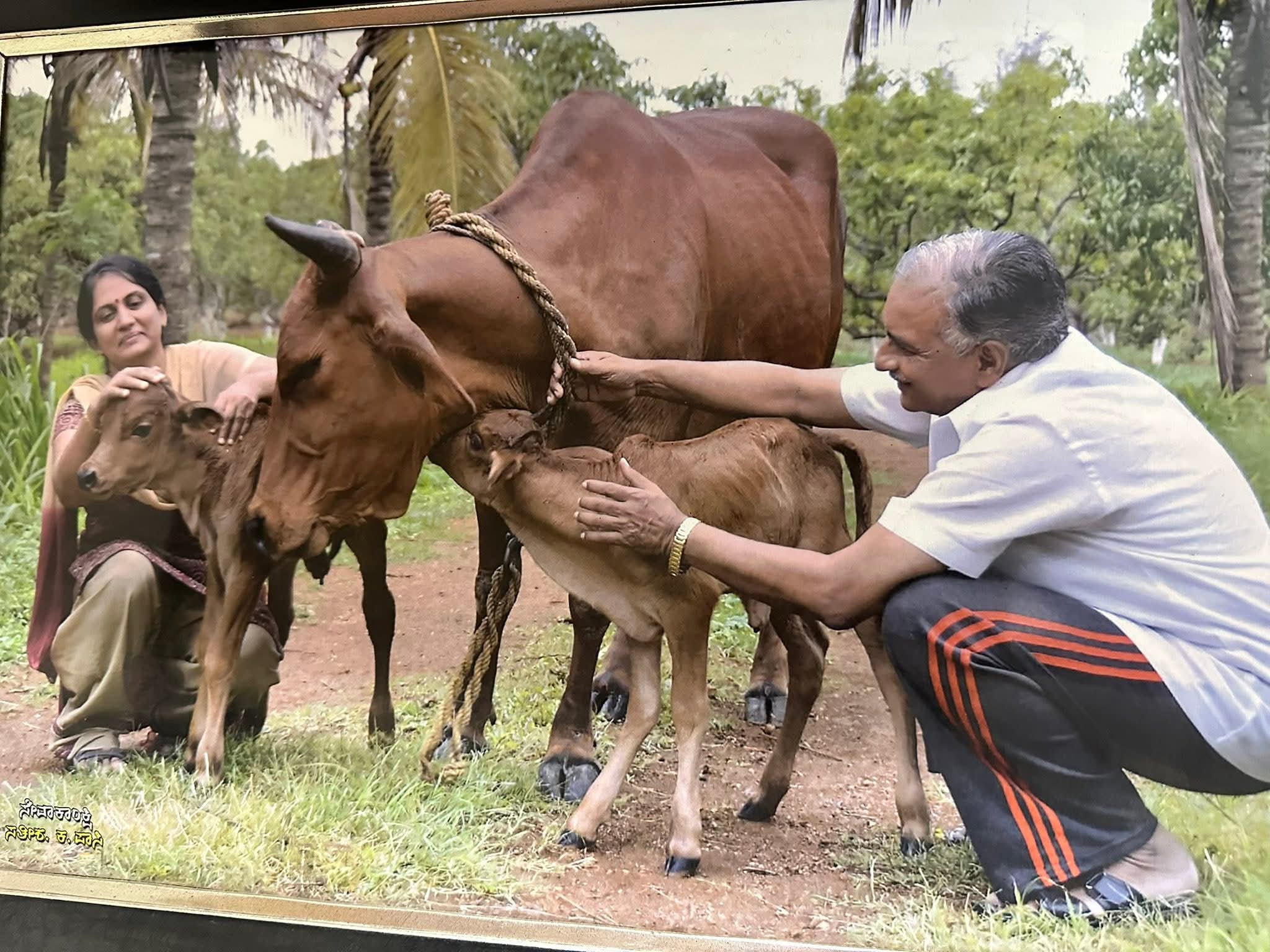 ಹೊರಟ್ಟಿ ಇರುವುದೇ ಹಾಗೆ-ಶಿವಾನಂದ ತಗಡೂರು…