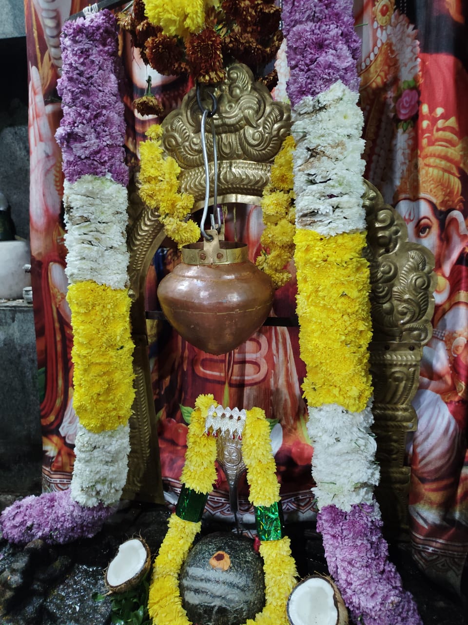 ಸಂಕ್ರಾಂತಿ ಪ್ರಯುಕ್ತ ಕಾಶಿ ವಿಶ್ವಾನಾಥ ಸ್ವಾಮಿಗೆ ವಿಶೇಷ ಪೂಜೆ