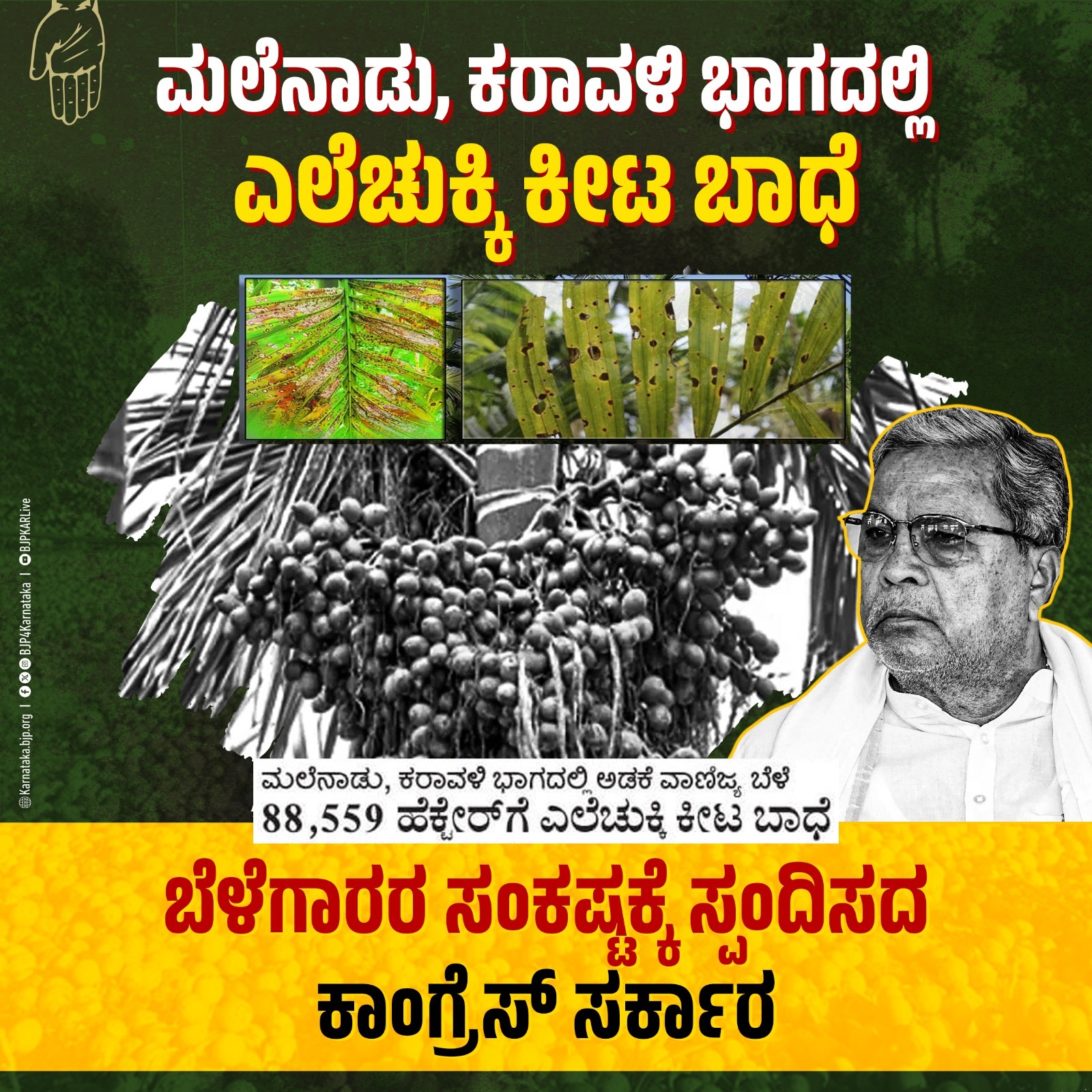 ಅಡಿಕೆಗೆ ಎಲೆಚುಕ್ಕಿ ಕೀಟ ಬಾಧೆ