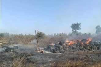 ಬೆಂಕಿಯ ಕೆನ್ನಾಲಿಗೆಗೆ ಹುಲ್ಲಿನ ಬಣಿವೆ ಭಸ್ಮ