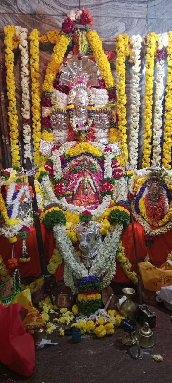 ಇಂದಿನಿಂದ ಕಾಟಲಿಂಗೇಶ್ವರಸ್ವಾಮಿ ದೇವರುಗಳ ಕಾಳು ಹಬ್ಬ