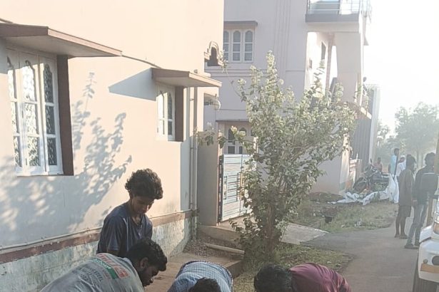 ನಗರಸಭೆ ವತಿಯಿಂದ ಹಂದಿಗಳ ಕಾರ್ಯಾಚರಣೆ