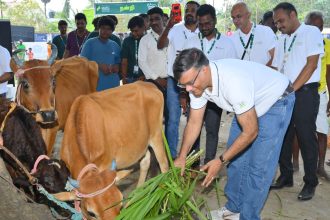 ಪಶುವಿಕಾಸ ದಿನಾಚರಣೆ: 1.4 ಲಕ್ಷ ಜಾನುವಾರು ಆರೋಗ್ಯ ತಪಾಸಣೆ