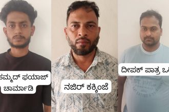 ಹೈಡ್ರೋಪೋನಿಕ್ ಗಾಂಜಾ ವಶ